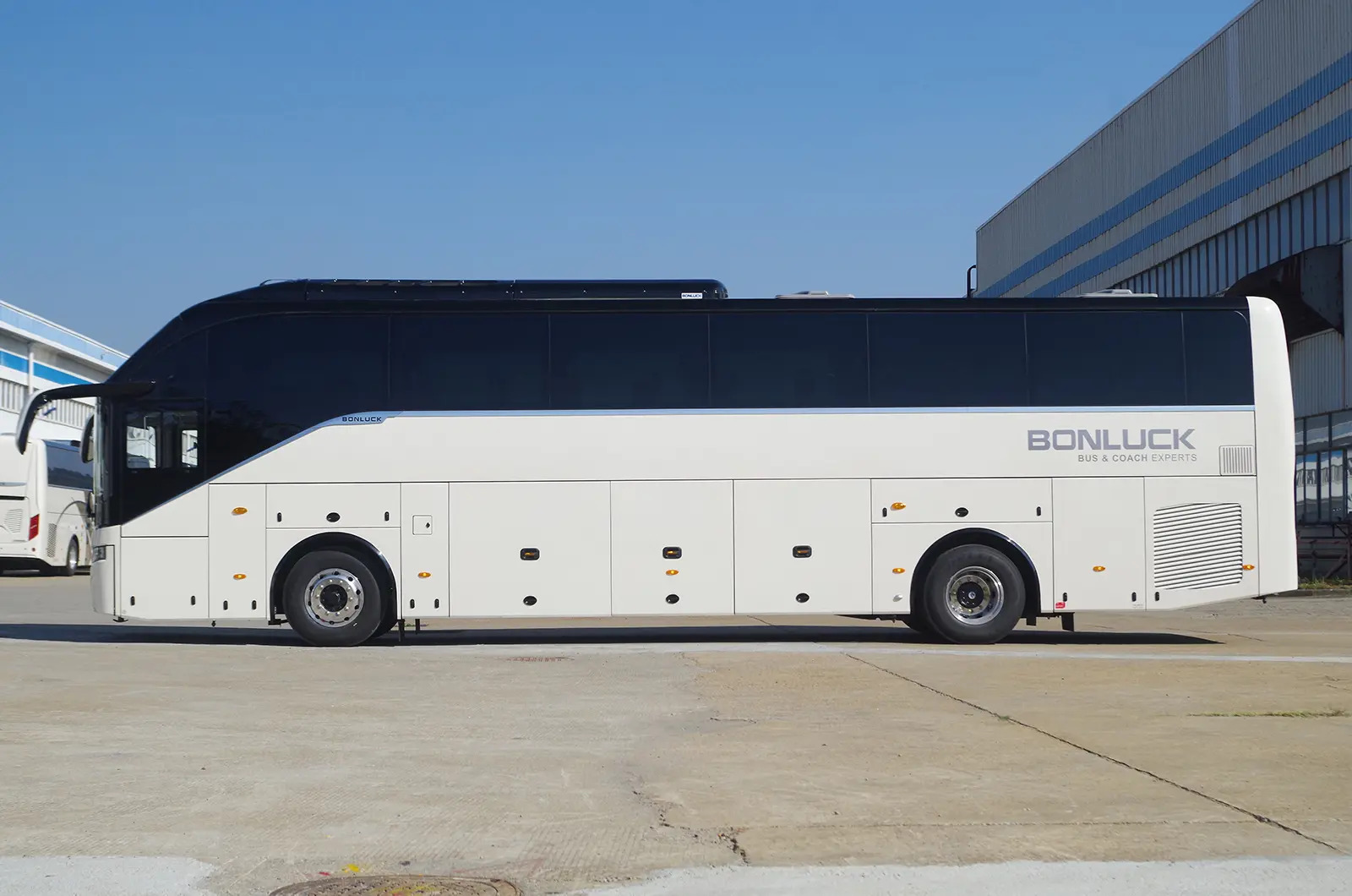 Bonluck Falcon LX photo 5